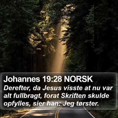 Johannes 19:28 NORSK Bible Verse Image