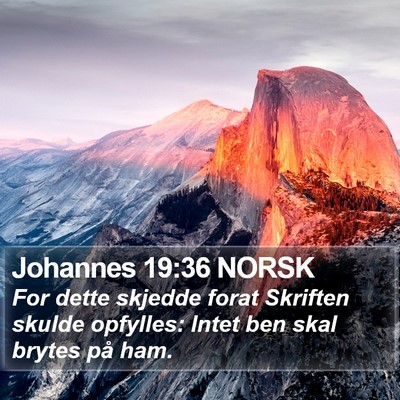 Johannes 19:36 NORSK Bible Verse Image
