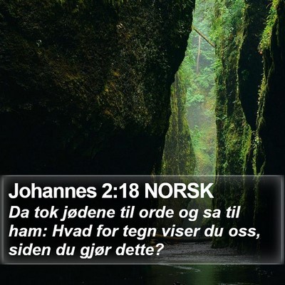 Johannes 2:18 NORSK Bible Verse Image
