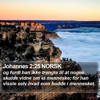 Johannes 2:25 NORSK Bible Verse Image