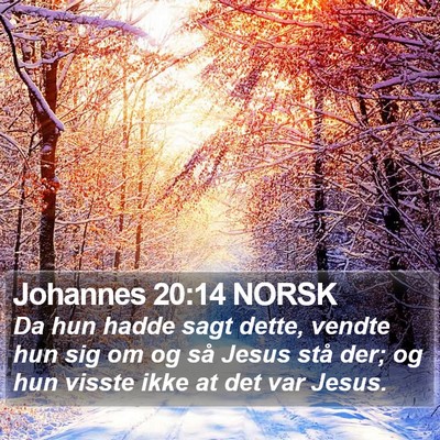 Johannes 20:14 NORSK Bible Verse Image