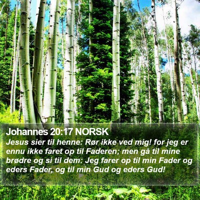 Johannes 20:17 NORSK Bible Verse Image