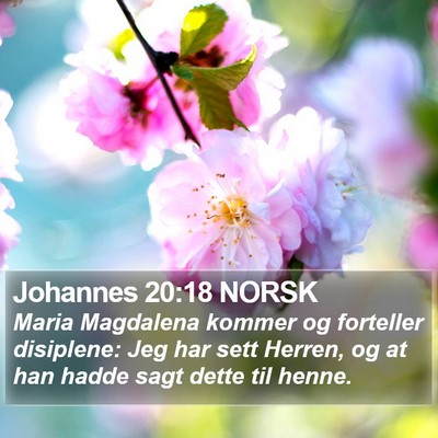 Johannes 20:18 NORSK Bible Verse Image
