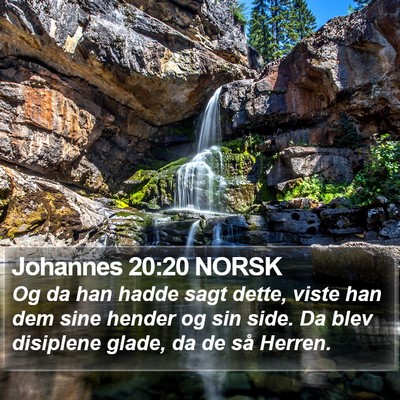 Johannes 20:20 NORSK Bible Verse Image