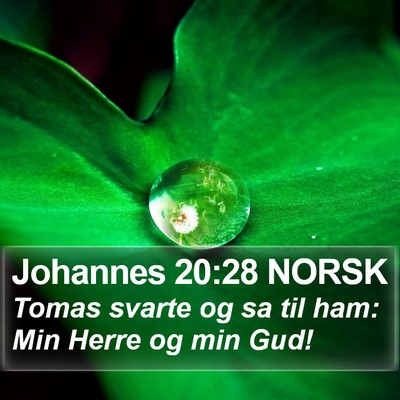 Johannes 20:28 NORSK Bible Verse Image
