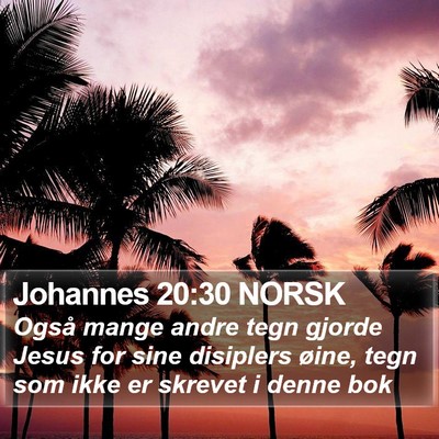 Johannes 20:30 NORSK Bible Verse Image