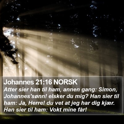 Johannes 21:16 NORSK Bible Verse Image