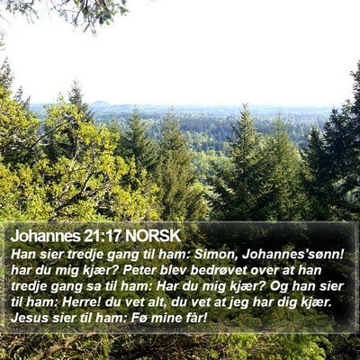 Johannes 21:17 NORSK Bible Verse Image