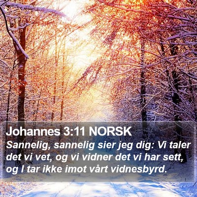 Johannes 3:11 NORSK Bible Verse Image
