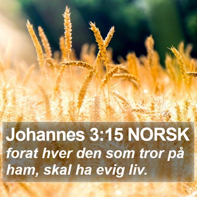 Johannes 3:15 NORSK Bible Verse Image