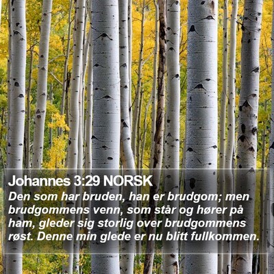 Johannes 3:29 NORSK Bible Verse Image