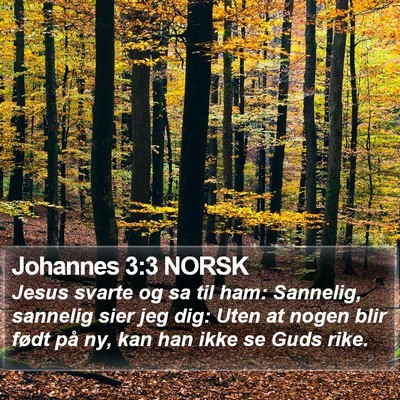 Johannes 3:3 NORSK Bible Verse Image
