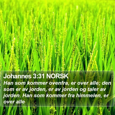 Johannes 3:31 NORSK Bible Verse Image