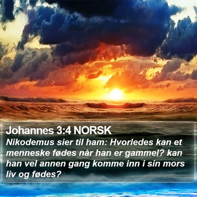 Johannes 3:4 NORSK Bible Verse Image