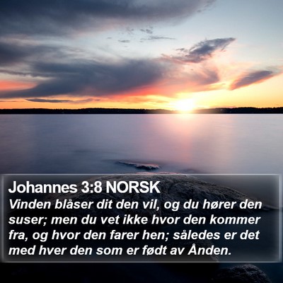 Johannes 3:8 NORSK Bible Verse Image