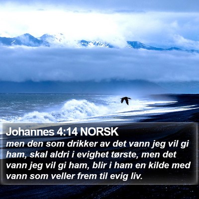 Johannes 4:14 NORSK Bible Verse Image
