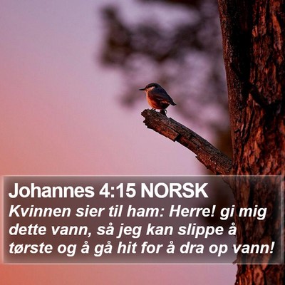 Johannes 4:15 NORSK Bible Verse Image