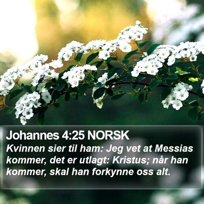 Johannes 4:25 NORSK Bible Verse Image
