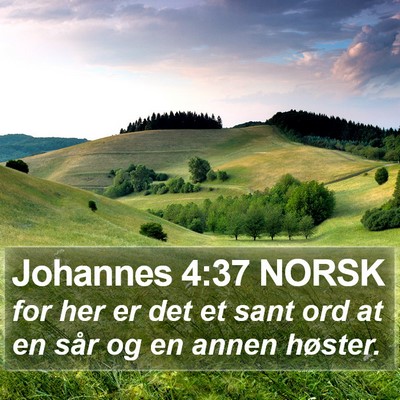 Johannes 4:37 NORSK Bible Verse Image