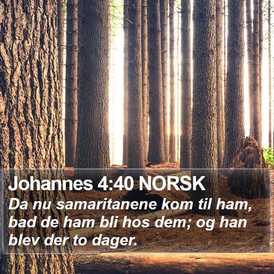 Johannes 4:40 NORSK Bible Verse Image