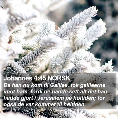 Johannes 4:45 NORSK Bible Verse Image