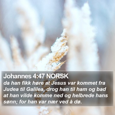Johannes 4:47 NORSK Bible Verse Image