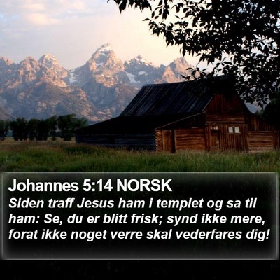 Johannes 5:14 NORSK Bible Verse Image