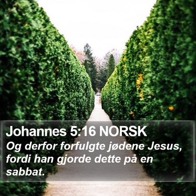 Johannes 5:16 NORSK Bible Verse Image