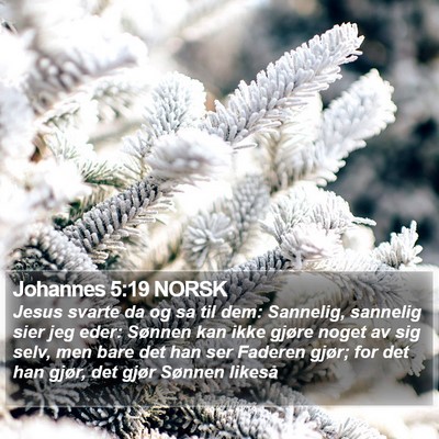 Johannes 5:19 NORSK Bible Verse Image