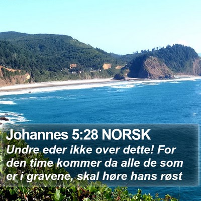 Johannes 5:28 NORSK Bible Verse Image