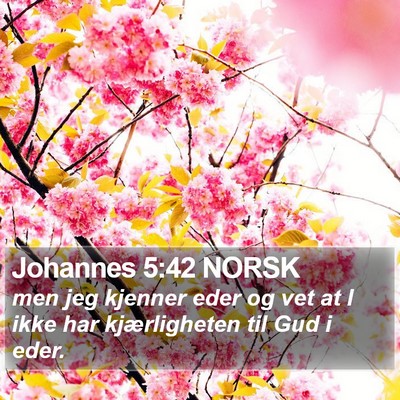 Johannes 5:42 NORSK Bible Verse Image