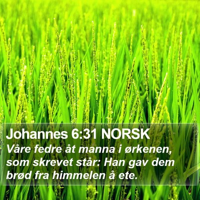 Johannes 6:31 NORSK Bible Verse Image