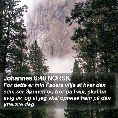 Johannes 6:40 NORSK Bible Verse Image
