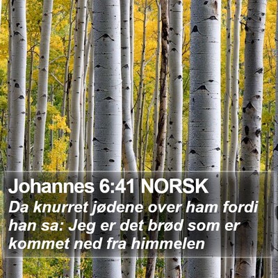 Johannes 6:41 NORSK Bible Verse Image