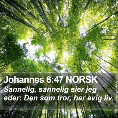 Johannes 6:47 NORSK Bible Verse Image