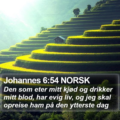 Johannes 6:54 NORSK Bible Verse Image