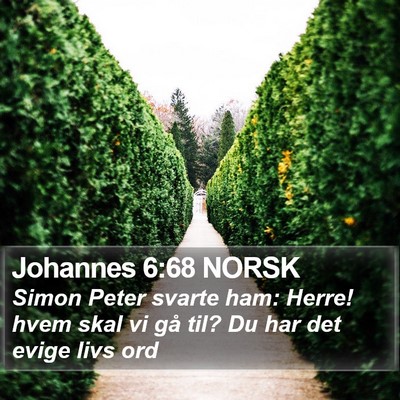 Johannes 6:68 NORSK Bible Verse Image