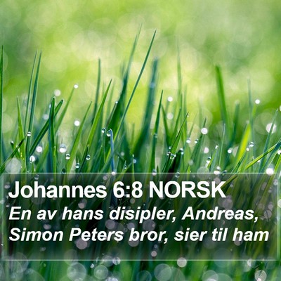 Johannes 6:8 NORSK Bible Verse Image