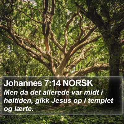 Johannes 7:14 NORSK Bible Verse Image
