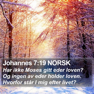Johannes 7:19 NORSK Bible Verse Image