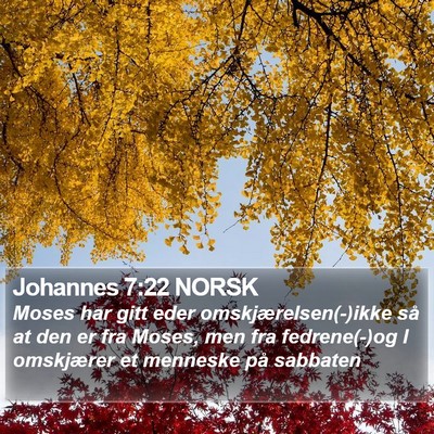 Johannes 7:22 NORSK Bible Verse Image