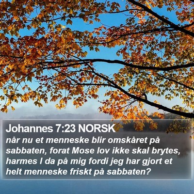 Johannes 7:23 NORSK Bible Verse Image