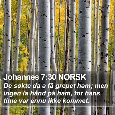 Johannes 7:30 NORSK Bible Verse Image