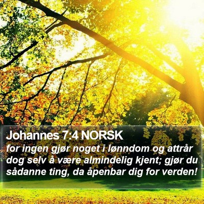 Johannes 7:4 NORSK Bible Verse Image