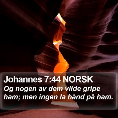 Johannes 7:44 NORSK Bible Verse Image
