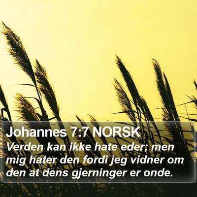 Johannes 7:7 NORSK Bible Verse Image