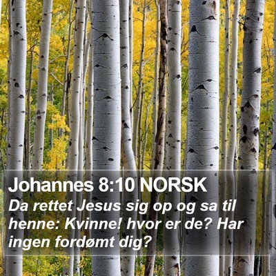 Johannes 8:10 NORSK Bible Verse Image