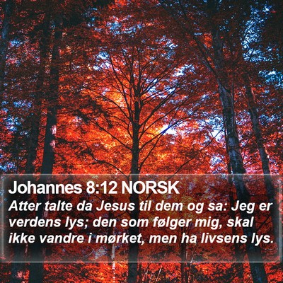 Johannes 8:12 NORSK Bible Verse Image