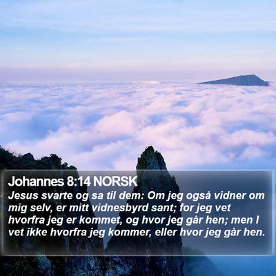 Johannes 8:14 NORSK Bible Verse Image