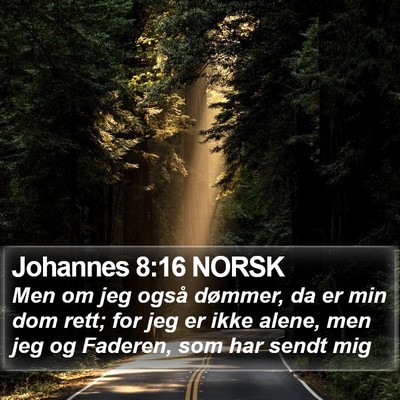 Johannes 8:16 NORSK Bible Verse Image